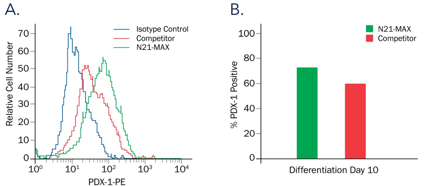 N21-MAX Media Supplement Increases Efficiency of Pancreatic Cell Differentiation. 